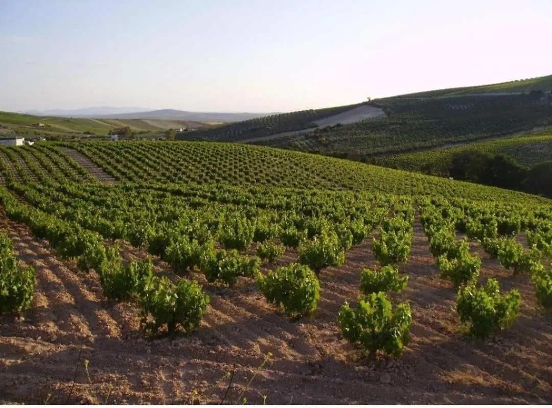 Homestay Casa Due Amori Montilla